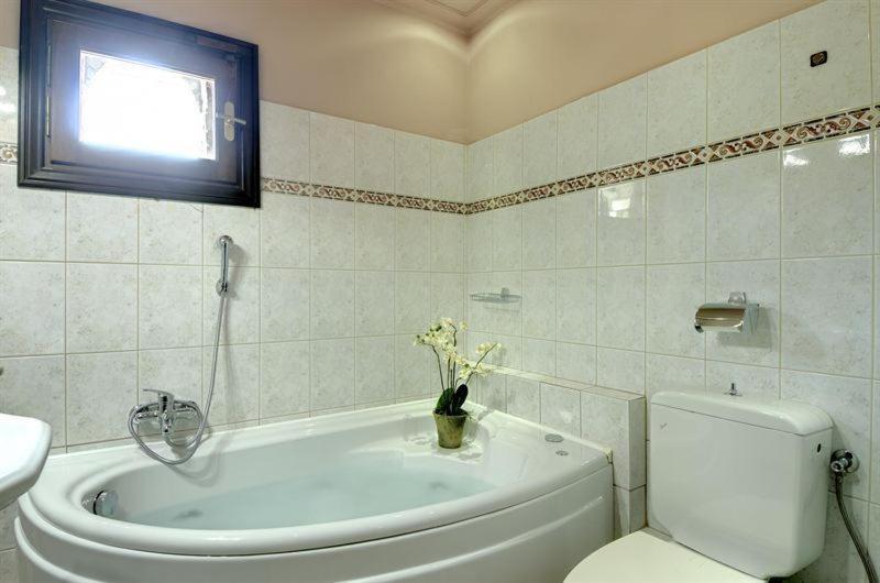 Iatrou Guesthouse Портарія Номер фото