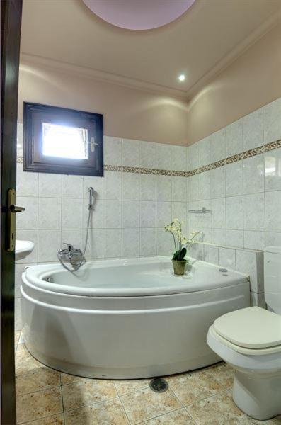 Iatrou Guesthouse Портарія Номер фото